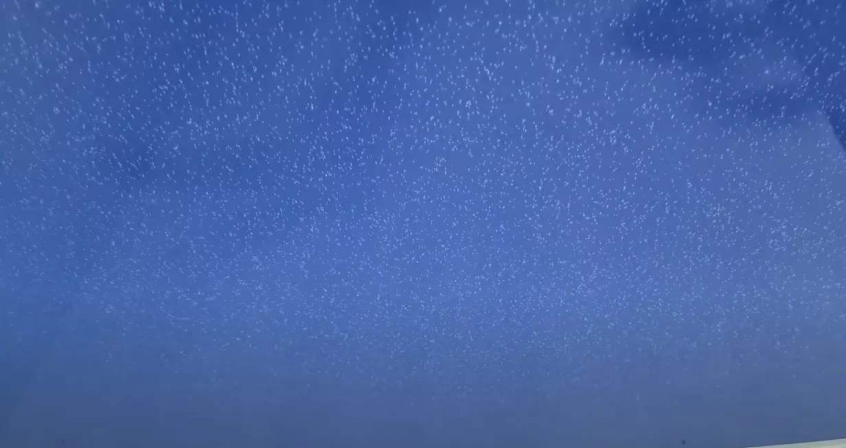 Саки, , фото 3