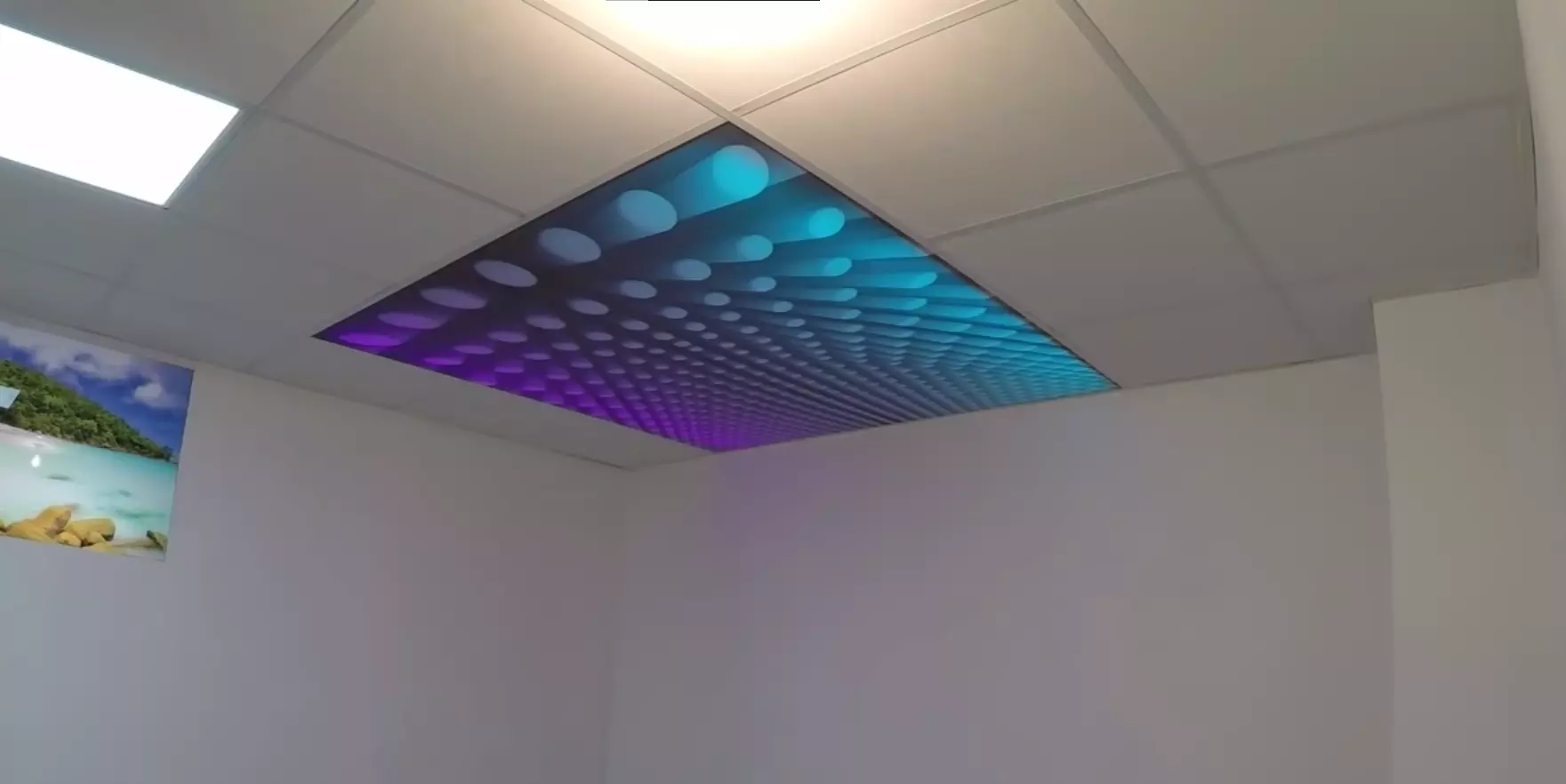 Барнаул, Антона Петрова, 219а, фото 1